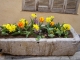 Roquebrune sur Argens - Bac de fleurs