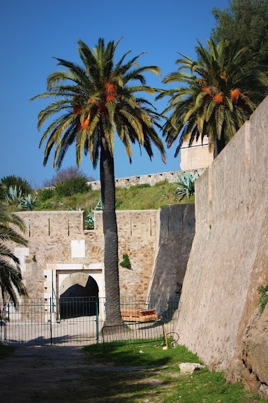 La citadelle de Saint Tropez - Saint-Tropez
