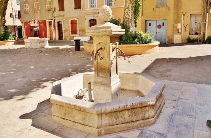 Fontaine - Tourves