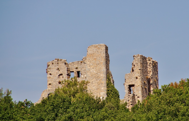 Ruines - Tourves