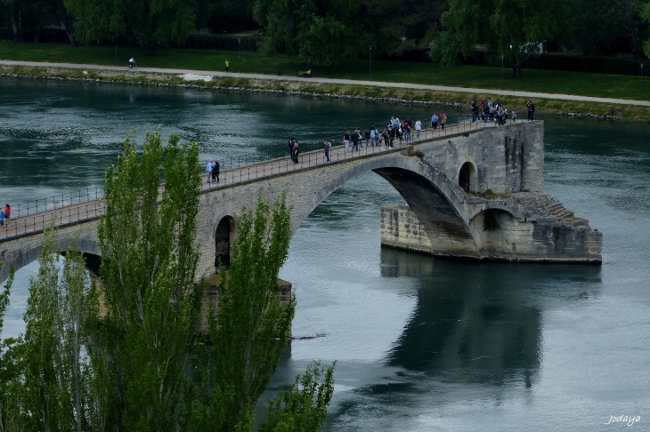 Avignon. Pont Saint-Bénézet.