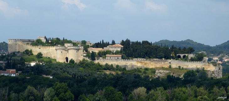 Avignon. Fort Saint-André.
