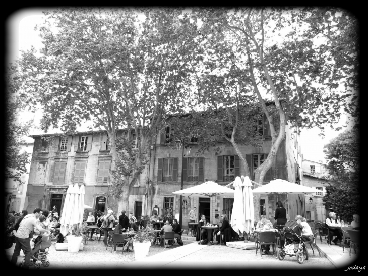 Avignon. Place du Palais