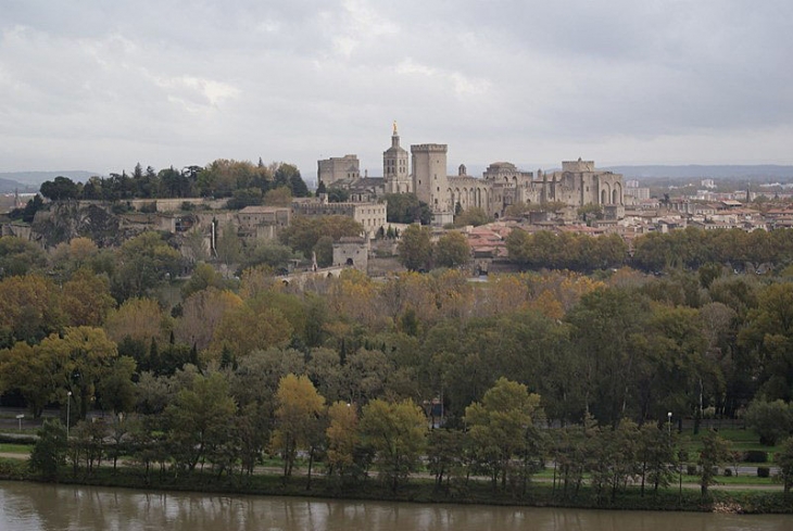 La ville vue de Villeneuve les Avignon