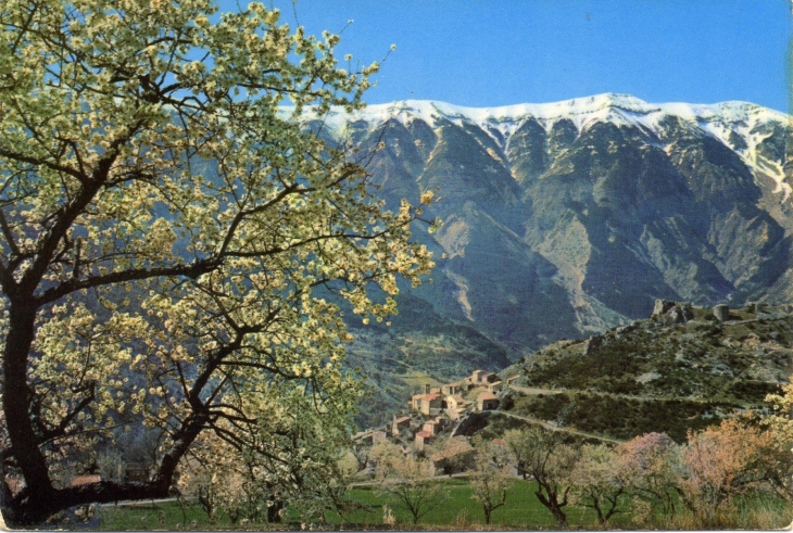 Le charmant petit village de Brautes dans les amandiers en fleurs au pied du Mont-Ventoux (carte postale de 1968) - Carpentras