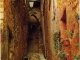 Photo suivante de Roussillon Vieille Rue (carte postale de 1970)