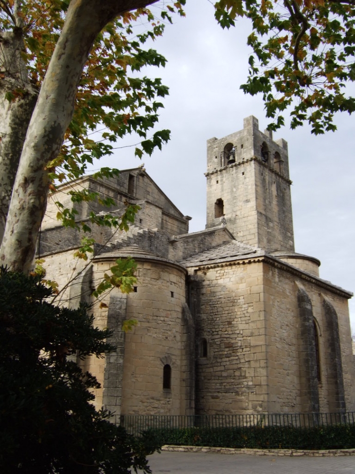 Cathédrale Notre-Dame de Nazareth - Vaison-la-Romaine
