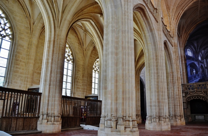 _église St Nicolas de Tolentin - Bourg-en-Bresse