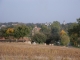 Photo suivante de Chanoz-Châtenay le village