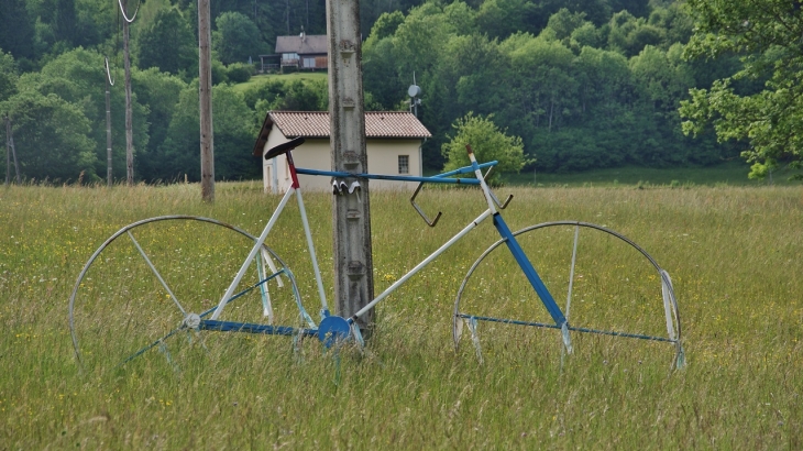 Vélo pour Géant - Charix