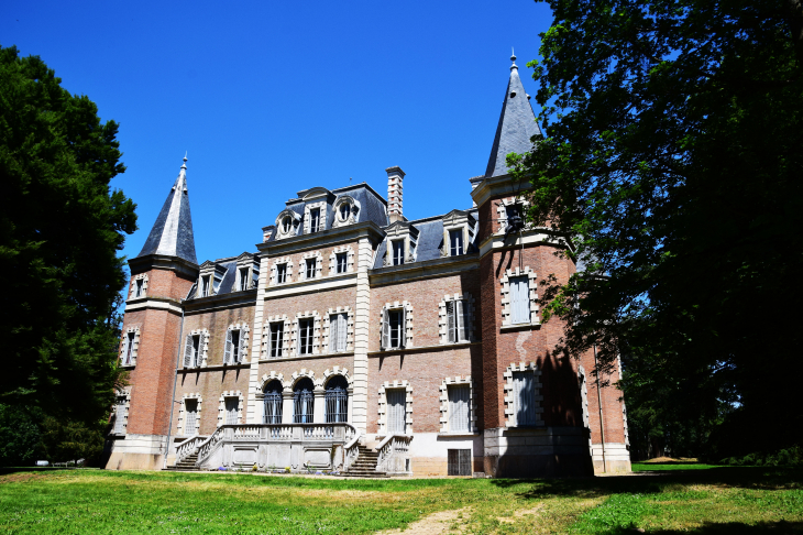 Château du Bouchet - Fareins