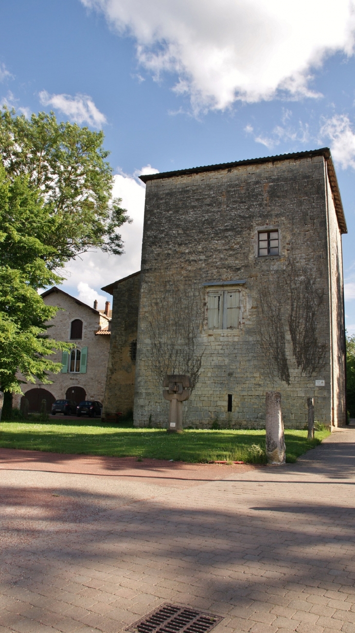 Château de Meillonnas ( Tour )