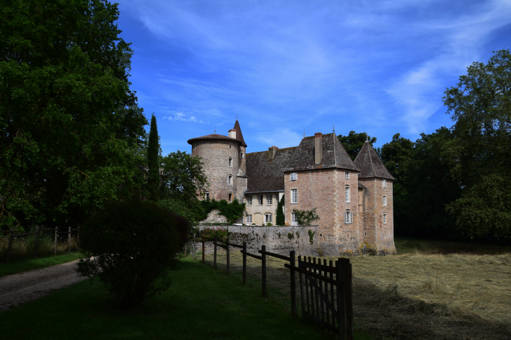 Château - Messimy-sur-Saône