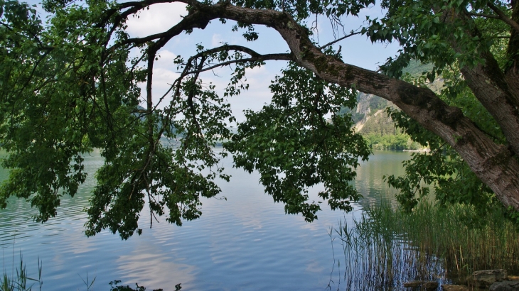 Le Lac - Nantua