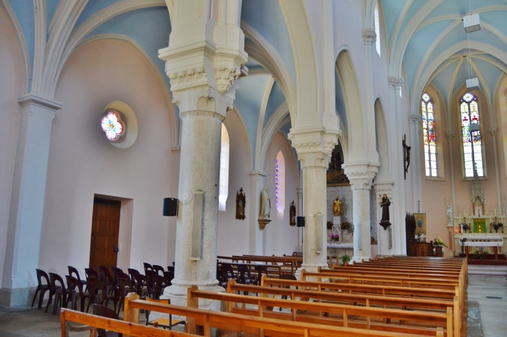 *-église Saint-Martin - Saint-Martin-du-Frêne