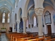 Photo suivante de Saint-Martin-du-Frêne *-église Saint-Martin
