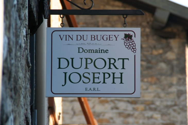 Vins-du-Bugey- Domaine-Duport -Joseph  - Vaux-en-Bugey