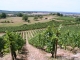 Photo précédente de Vaux-en-Bugey Vins-du-Bugey- Domaine-Duport -Joseph 