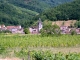 Photo suivante de Vaux-en-Bugey Vins-du-Bugey- Domaine-Duport -Joseph 