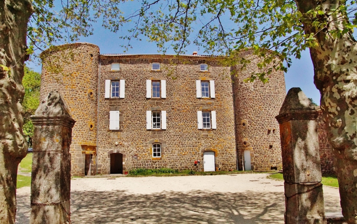 Le Château - Berzème