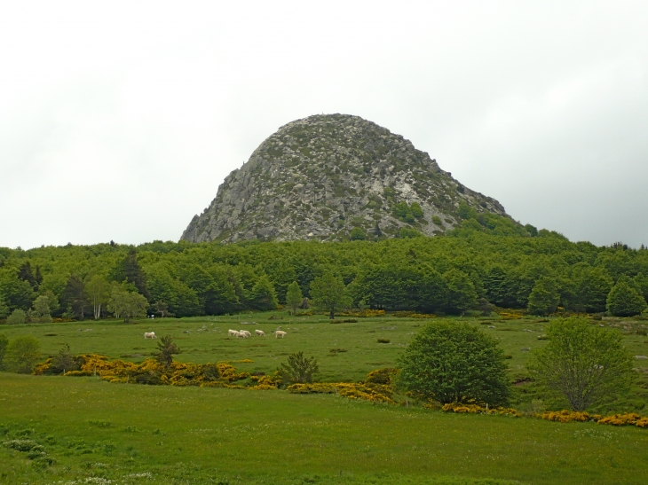 Le Mont Gerbier des Joncs - Sainte-Eulalie
