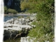 Photo suivante de Vallon-Pont-d'Arc l’Ardèche sauvage au pont d'Arc