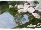 Photo précédente de Vallon-Pont-d'Arc l’Ardèche sauvage 