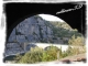 Photo précédente de Vallon-Pont-d'Arc l’Ardèche sauvage 