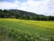 Photo suivante de Vallon-Pont-d'Arc Vallon-Pont-d'Arc (07150) paysage avec champ de colza
