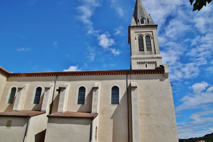  église Saint-Martin - Peyrins