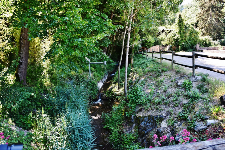Ruisseau des Fleurs - Rochefort-Samson
