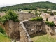 le Château ( ruines )