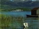 Le Lac d'Annecy (carte postale de 1960)