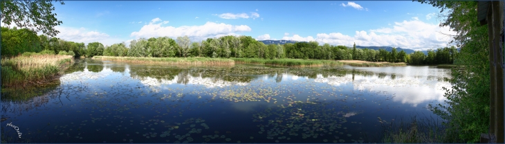 Panoramique sur l'étang de Crosagny - Bloye