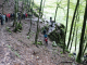 Photo précédente de Sixt-Fer-à-Cheval les gorges de Tines : la descente