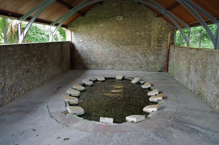 Le Grand Lavoir de Rives a été construit en 1848 et reconstruit en 1882. Il se compose d'un seul bassin et de 14 pierres à laver individuelles. - Thonon-les-Bains