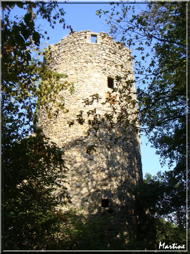 La tour Montléans - Jardin