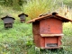 Photo précédente de Saint-Jean-de-Bournay Saint-Jean-de-Bournay. Les trois ruches.