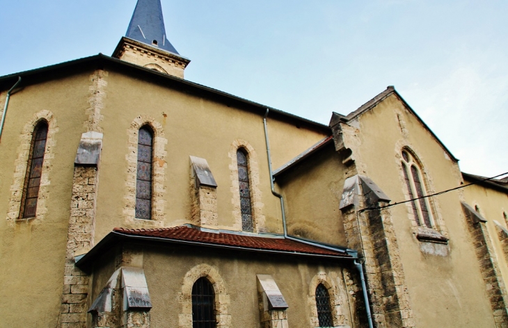 .église Saint-Vincent - Saint-Vincent-de-Mercuze