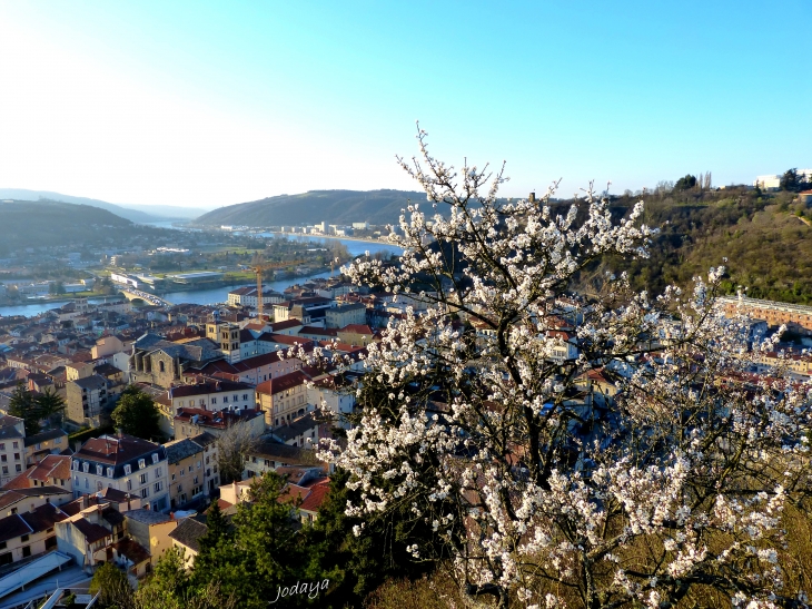 Vienne. Le Rhône et la Ville vus de Pipet.