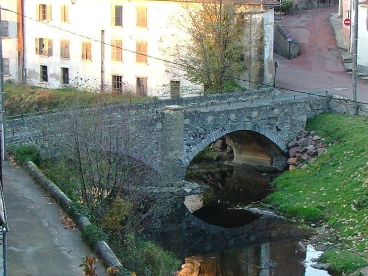 Le vieux pont sur le Rhins - Régny