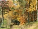 paysage d'automne. chemin dans le bois juste au dessus de la roue