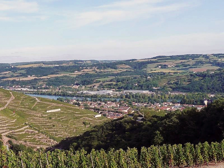 Vue d'ensemble : le vignoble de côte rotie, le village, le Rhône - Ampuis