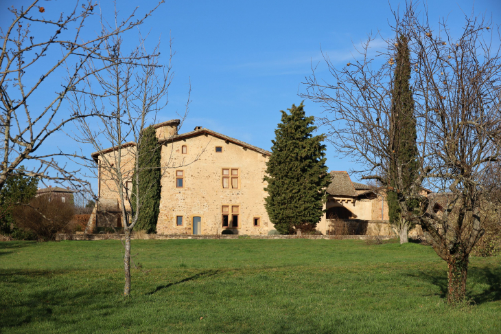 Château de Pravins - Blacé