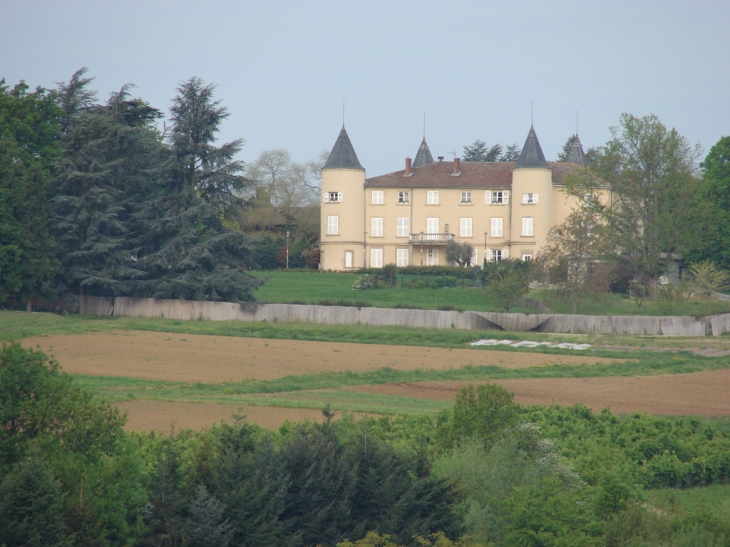 Le château - Fleurieux-sur-l'Arbresle