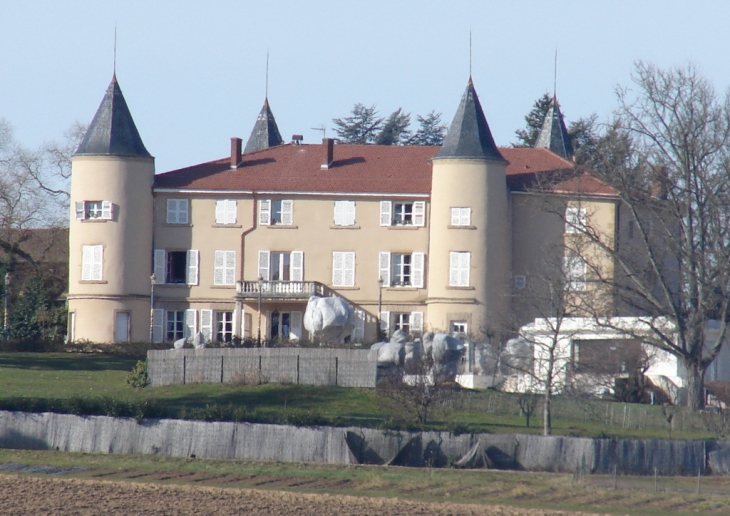 Le Château - Fleurieux-sur-l'Arbresle