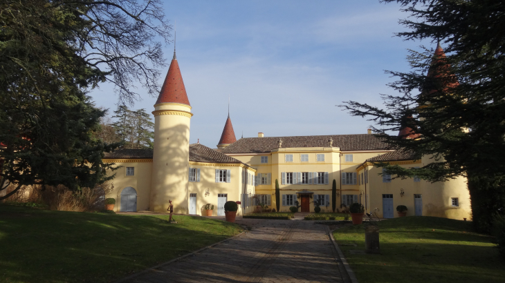 Château de Pierreux - Odenas