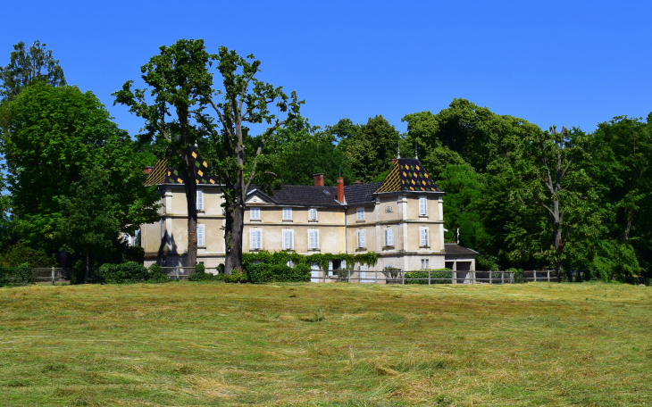 Château de Roffray - Saint-Georges-de-Reneins