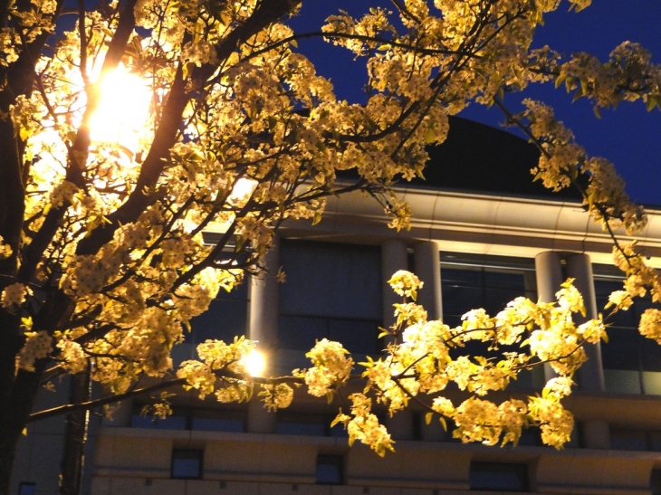 Quartier dome théatre une nuit de printemps fleurie - Albertville