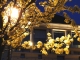 Quartier dome théatre une nuit de printemps fleurie